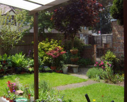 Evolution Canopy - Brown